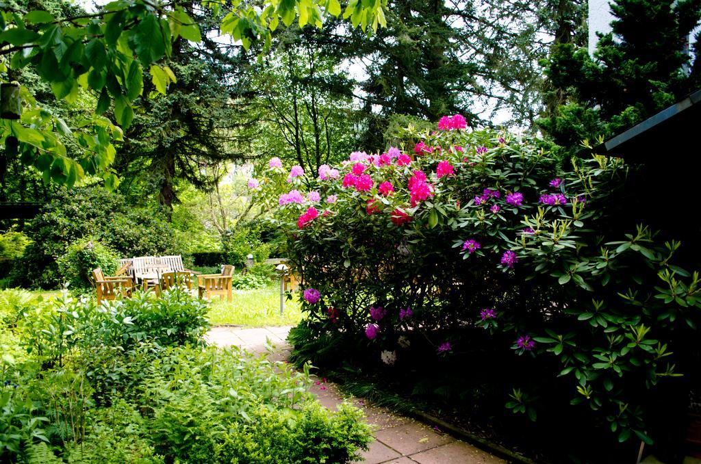 Haus Helvetia Bed & Breakfast Bad Orb Dış mekan fotoğraf