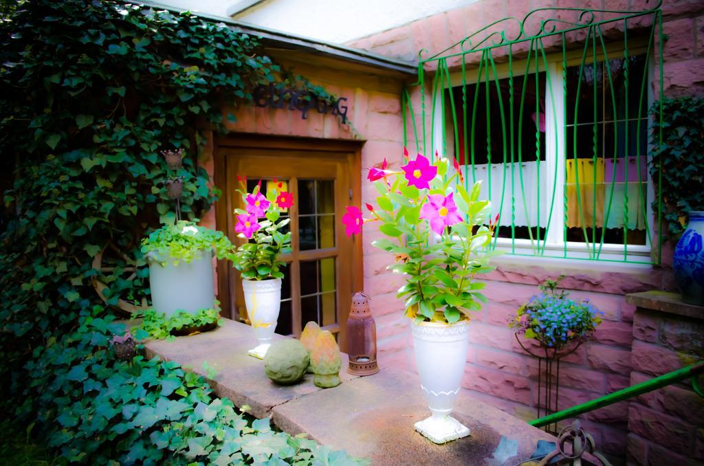 Haus Helvetia Bed & Breakfast Bad Orb Dış mekan fotoğraf